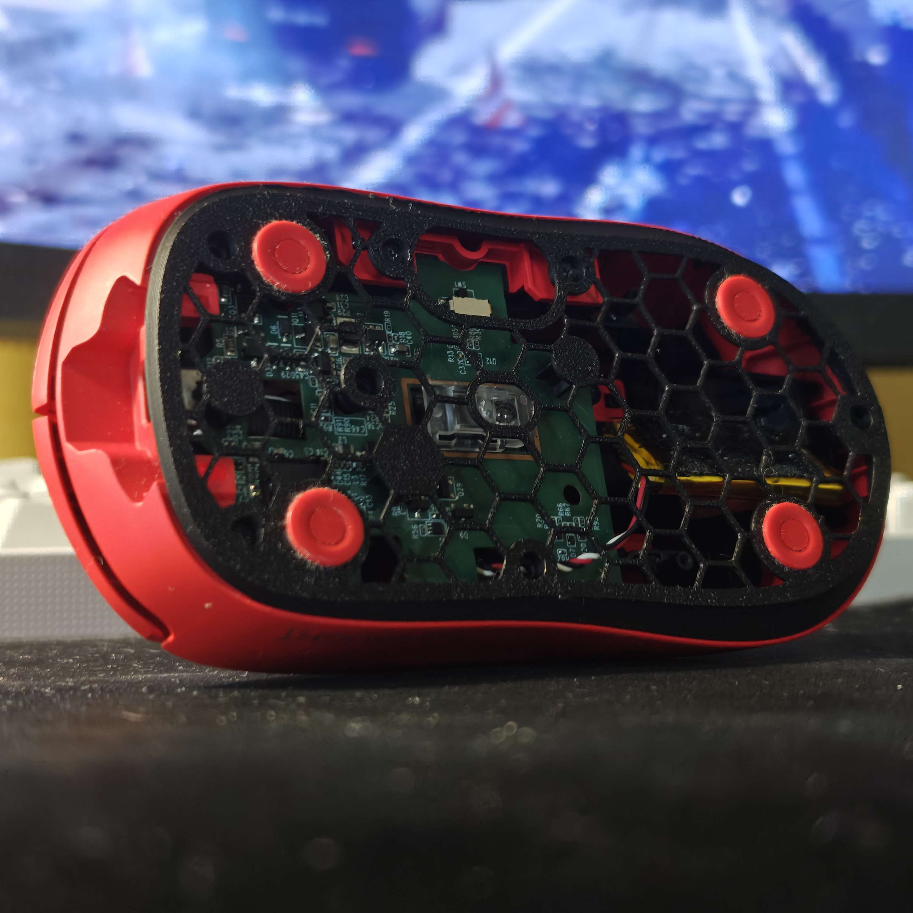 mouse